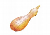 茶味ひさご