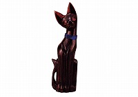 キャット50cm