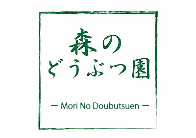 森のどうぶつ園